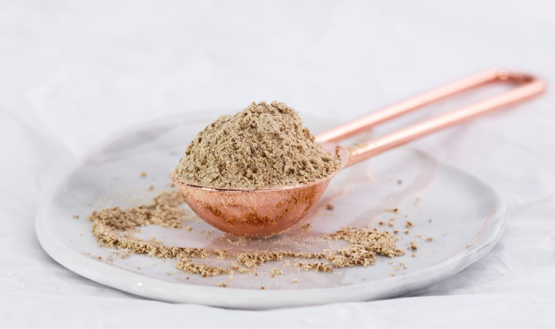 Insect protein powder